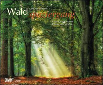 Waldspaziergang 2019