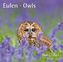 Eulen / Owls 2019