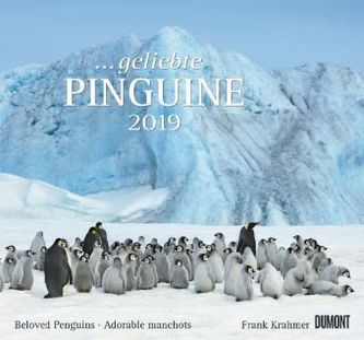 ... geliebte Pinguine 2019