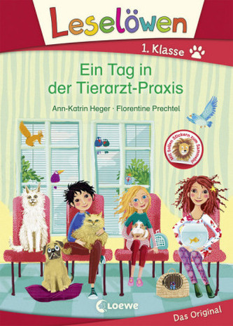 Ein Tag in der Tierarzt-Praxis