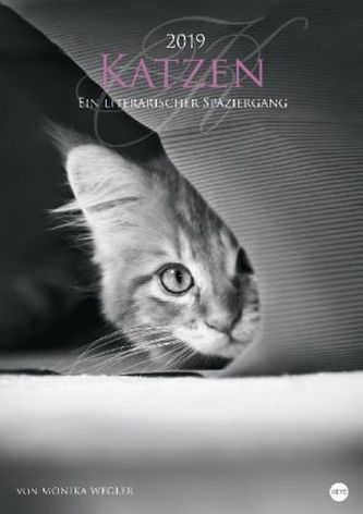 Katzen - Ein literarischer Spaziergang 2019