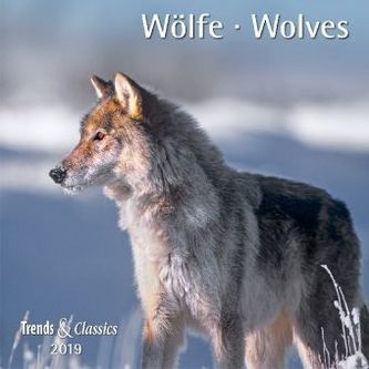 Wölfe / Wolves 2019