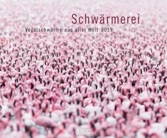 Schwärmerei 2019