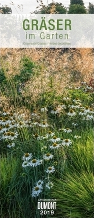Gräser im Garten 2019