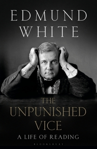 The Unpunished Vice