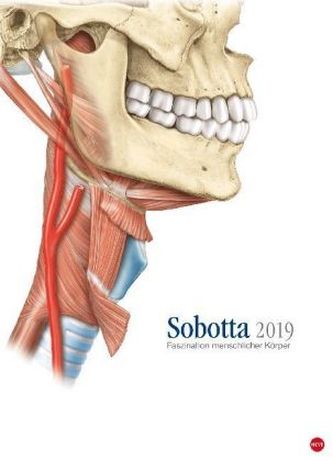 Sobotta Faszination menschlicher Körper 2019