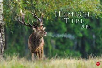 Heimische Tiere 2019