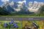 Alpen nah und fern Edition 2019