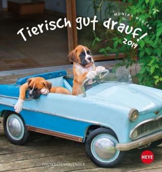 Tierisch gut drauf Postkartenkalender 2019