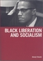 Black Liberation And Socialism