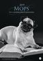 Mops - Ein literarischer Spaziergang 2019