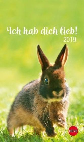 Mini Kaninchen Ich hab dich lieb! 2019