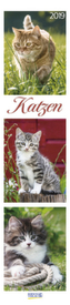 Katzen Langplaner 2019
