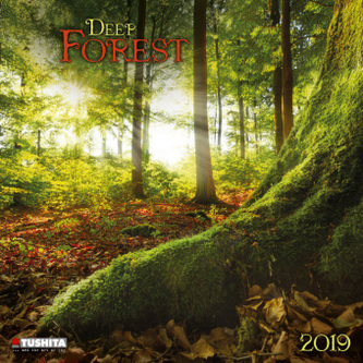 Deep Forest 2019