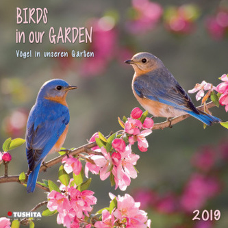 Birds in our Garden 2019