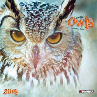 Magic Owls 2019