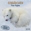 Eisbärchen / Polar Puppies 2019