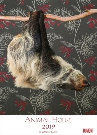 Animal House Kalender 2019