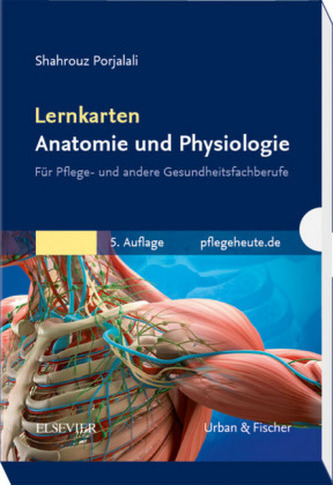 Lernkarten Anatomie und Physiologie