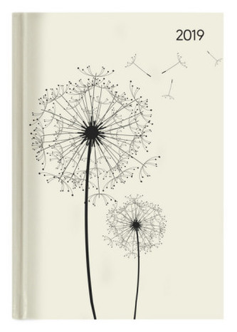 Buchkalender Blowballs 2019