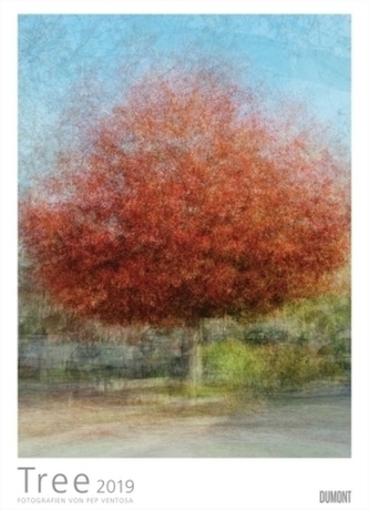 Pep Ventosa: Tree 2019