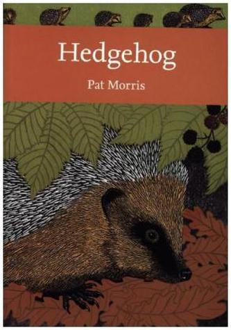 Hedgehog