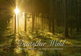 Deutscher Wald 2019