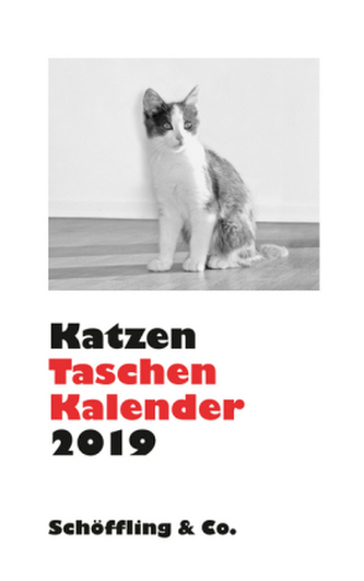 Katzen Taschenkalender 2019