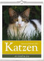 Wochenwandkalender: Katzen - literarisch durchs Jahr 2019