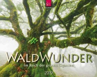 WaldWunder 2019