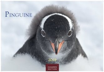 Pinguine 2019