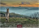 Wölfe 2019