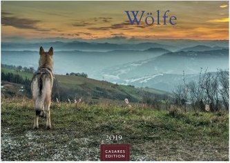 Wölfe 2019