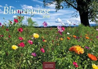 Blumenwiese 2019