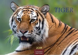 Tiger 2019