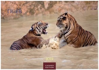 Tiger 2019