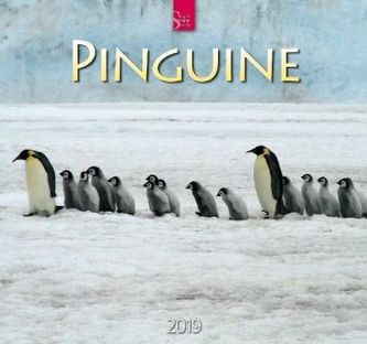 Pinguine 2019