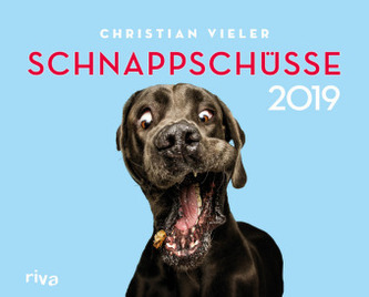 Schnappschüsse 2019