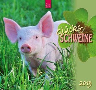 Glücksschweine 2019