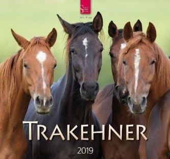 Trakehner 2019