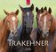 Trakehner 2019