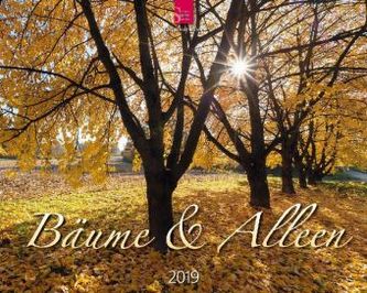 Bäume & Alleen 2019