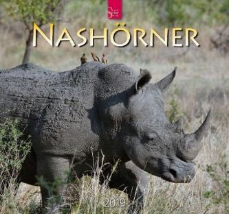 Nashörner 2019