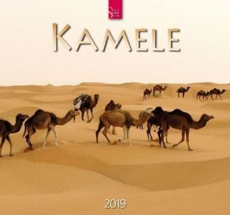 Kamele 2019