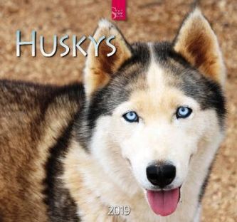 Huskys 2019