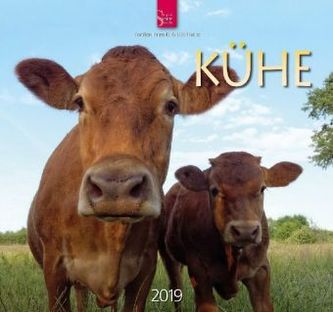 Kühe 2019