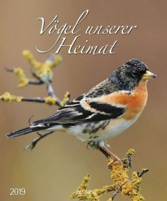 Vögel unserer Heimat 2019