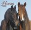 Horses 2019