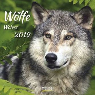 Wölfe 2019