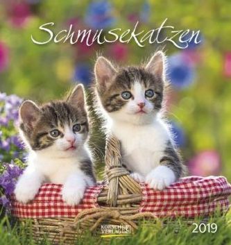 Schmusekatzen 2019